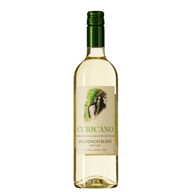 Вино совиньон долина. Курикано Совиньон Блан. Вино курикано Совиньон. Вино curicano Sauvignon Blanc. Курикано Совиньон Блан белое.