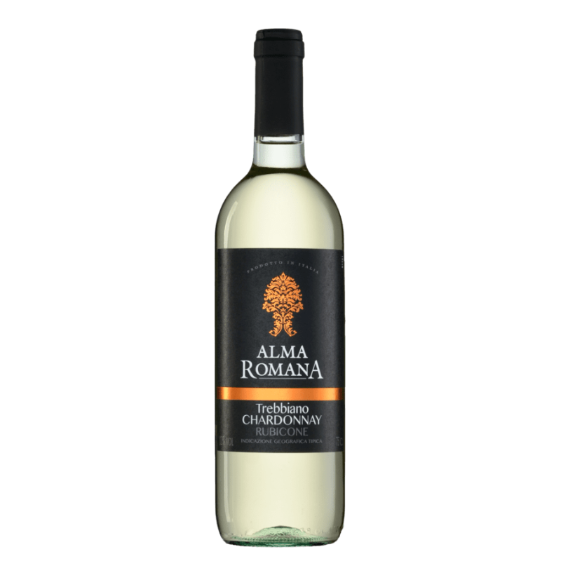 Белое сухое вино треббьяно. Альма Романо Пино Гриджио вино.