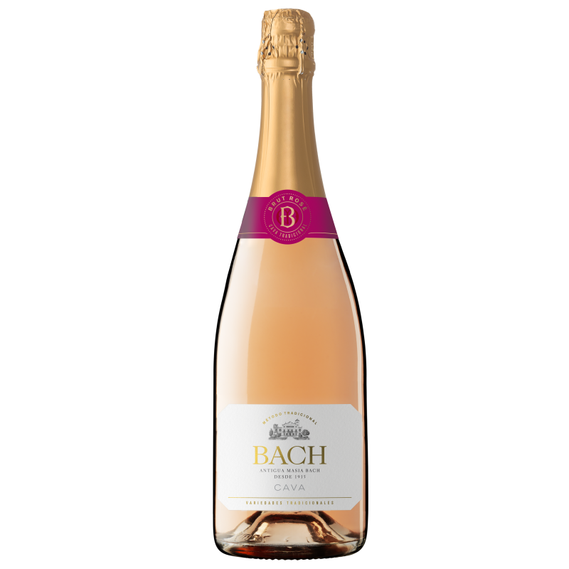 Каве брют натюр. Cava Bach Extrisimo. Bach Extrisimo Brut. Bach Extrisimo Brut nature Cava. Шампанское Испания Cava брют.